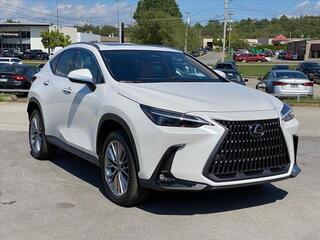 2025 Lexus NX 350 for sale in Chattanooga TN