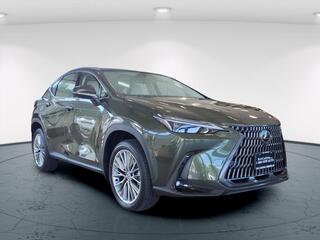 2025 Lexus NX 350 for sale in Freehold NJ