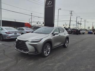 2023 Lexus NX 350 for sale in Toledo OH