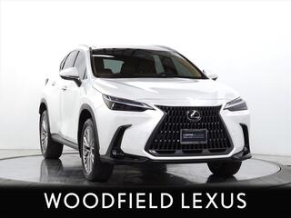 2024 Lexus NX 350h for sale in Schaumburg IL
