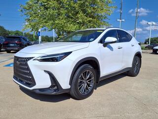 2024 Lexus NX 350h for sale in Wolcott VT