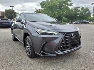 2025 Lexus NX 350h