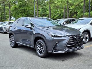 2025 Lexus NX 350h for sale in Durham NC