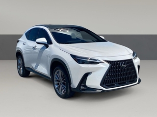 2022 Lexus NX 350h for sale in Chattanooga TN