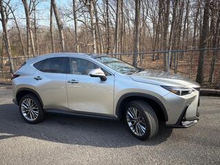 2024 Lexus NX 350h