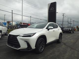 2025 Lexus NX 350h for sale in Toledo OH