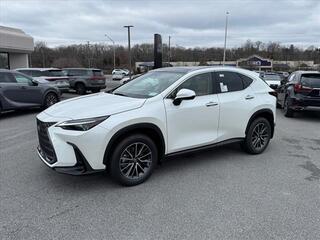 2025 Lexus NX 350h for sale in Kingsport TN