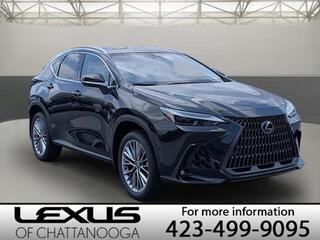 2025 Lexus NX 350h for sale in Chattanooga TN