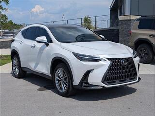 2023 Lexus NX 350h for sale in Chattanooga TN