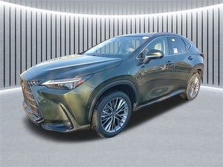 2025 Lexus NX 350h for sale in Schaumburg IL