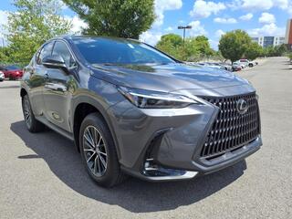 2025 Lexus NX 350h for sale in Nashville TN