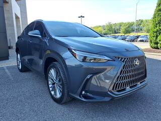 2023 Lexus NX 350h for sale in Nashville TN