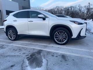 2024 Lexus NX 350h for sale in Oakhurst NJ
