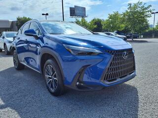 2025 Lexus NX 350h for sale in Nashville TN