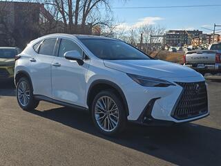 2026 Lexus NX 350h for sale in Brookfield WI