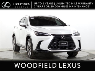 2024 Lexus NX 350h for sale in Schaumburg IL