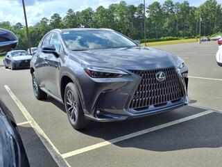 2025 Lexus NX 350h for sale in Durham NC