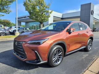 2025 Lexus NX 350h for sale in Brentwood TN