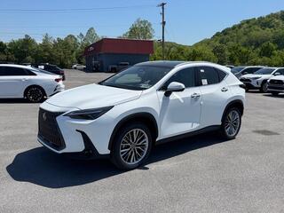 2026 Lexus NX 350h for sale in Kingsport TN