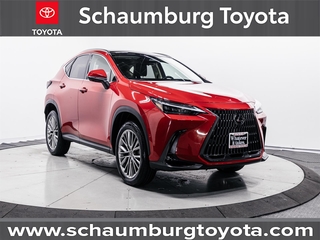 2022 Lexus NX 350h for sale in Schaumburg IL