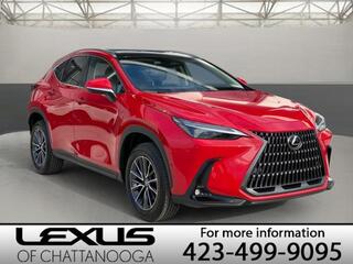 2025 Lexus NX 350h for sale in Chattanooga TN