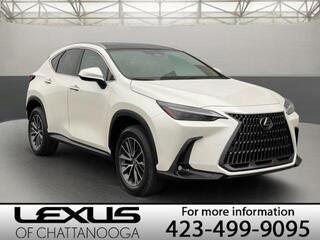 2025 Lexus NX 350h for sale in Chattanooga TN