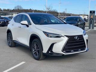 2025 Lexus NX 350h for sale in Chattanooga TN