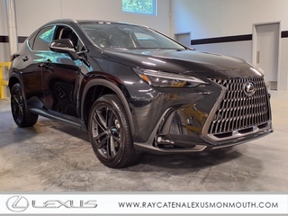 2025 Lexus NX 450h+