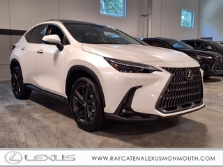 2025 Lexus NX 450h+