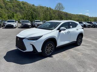 2026 Lexus NX 450h+ for sale in Kingsport TN