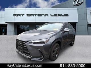 2024 Lexus NX 450h+ for sale in Larchmont NY