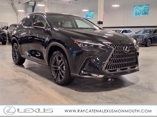 2025 Lexus NX 450h+