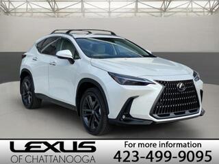 2025 Lexus NX 450h+ for sale in Chattanooga TN