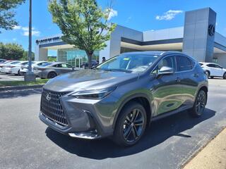 2025 Lexus NX 450h+ for sale in Nashville TN