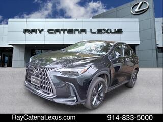 2022 Lexus NX 450h+ for sale in Larchmont NY
