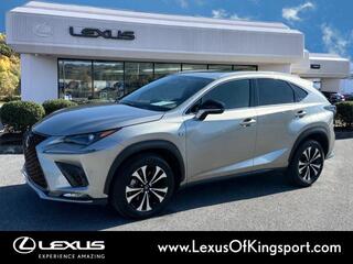 2020 Lexus NX 300 for sale in Kingsport TN