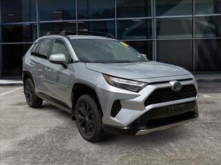 2023 Toyota RAV4 Hybrid for sale in Cleveland TN