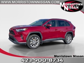 2022 Toyota RAV4 for sale in Morristown TN