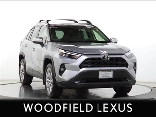 2023 Toyota RAV4 for sale in Schaumburg IL