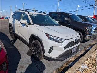 2024 Toyota RAV4 Hybrid for sale in Bowling Green KY