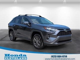 2025 Toyota RAV4 Hybrid for sale in Cleveland TN