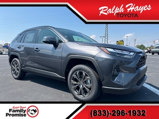 2025 Toyota RAV4 Hybrid for sale in Anderson SC