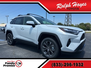 2025 Toyota RAV4 Hybrid for sale in Anderson SC