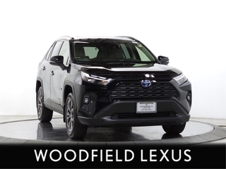 2022 Toyota RAV4 Hybrid for sale in Schaumburg IL