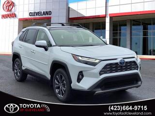 2024 Toyota RAV4 Hybrid for sale in Mcdonald TN