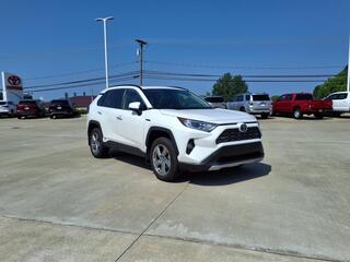 2020 Toyota RAV4 Hybrid for sale in Warren OH