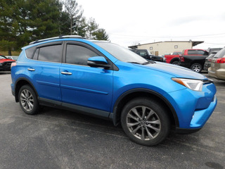 2016 Toyota RAV4 for sale in Clarksville TN