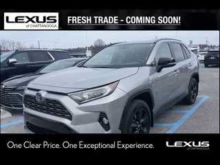 2019 Toyota RAV4 Hybrid for sale in Chattanooga TN