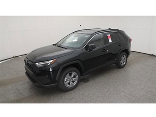 2025 Toyota RAV4 Hybrid for sale in Merritt Island FL