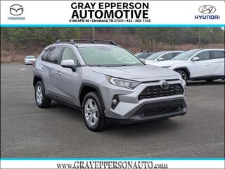 2019 Toyota RAV4 for sale in Cleveland TN